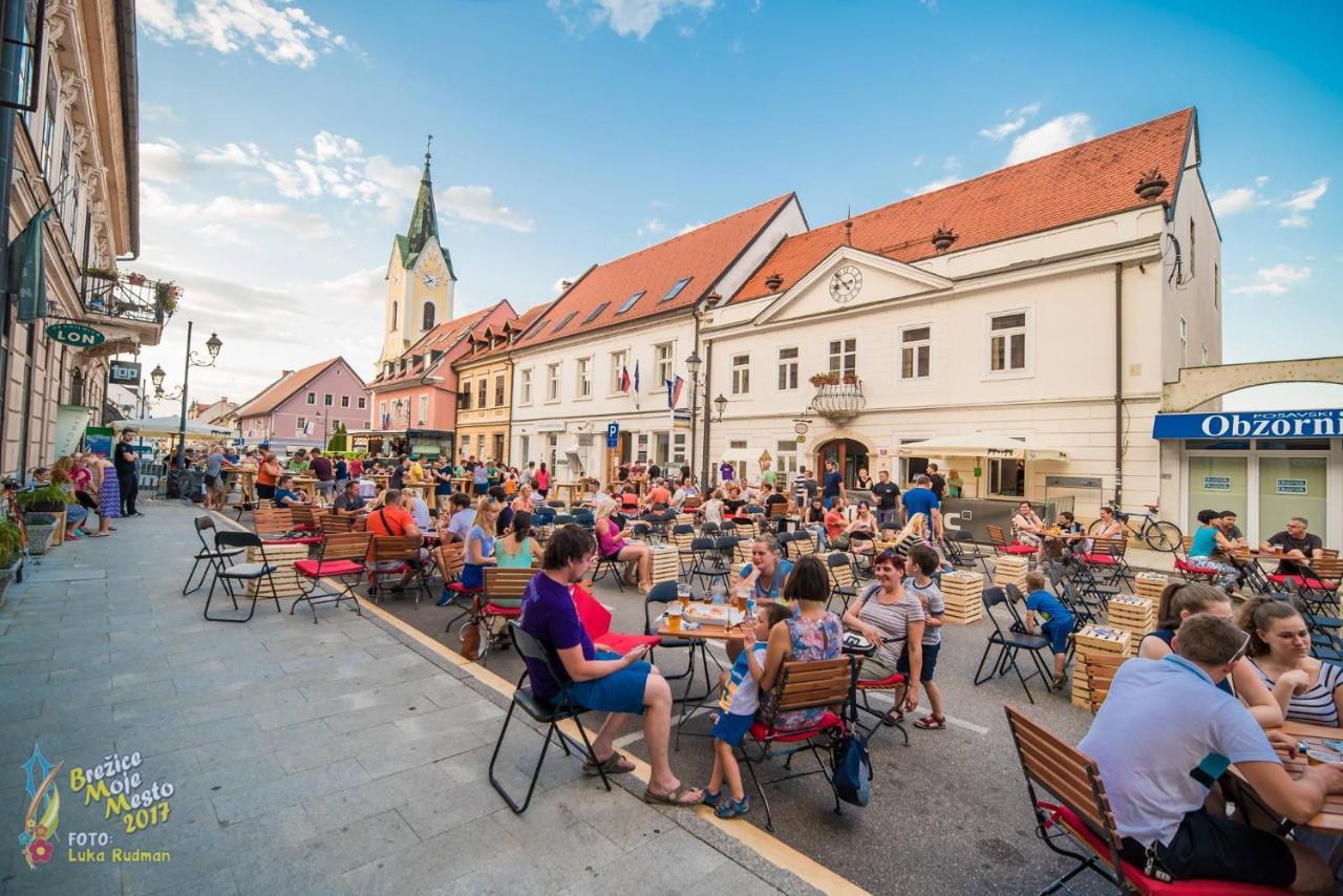 Hotel Cateski Dvorec Catez ob Savi Esterno foto