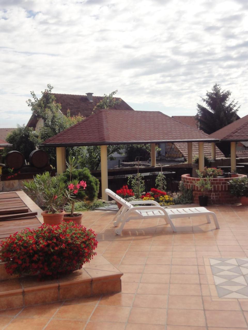 Hotel Cateski Dvorec Catez ob Savi Esterno foto