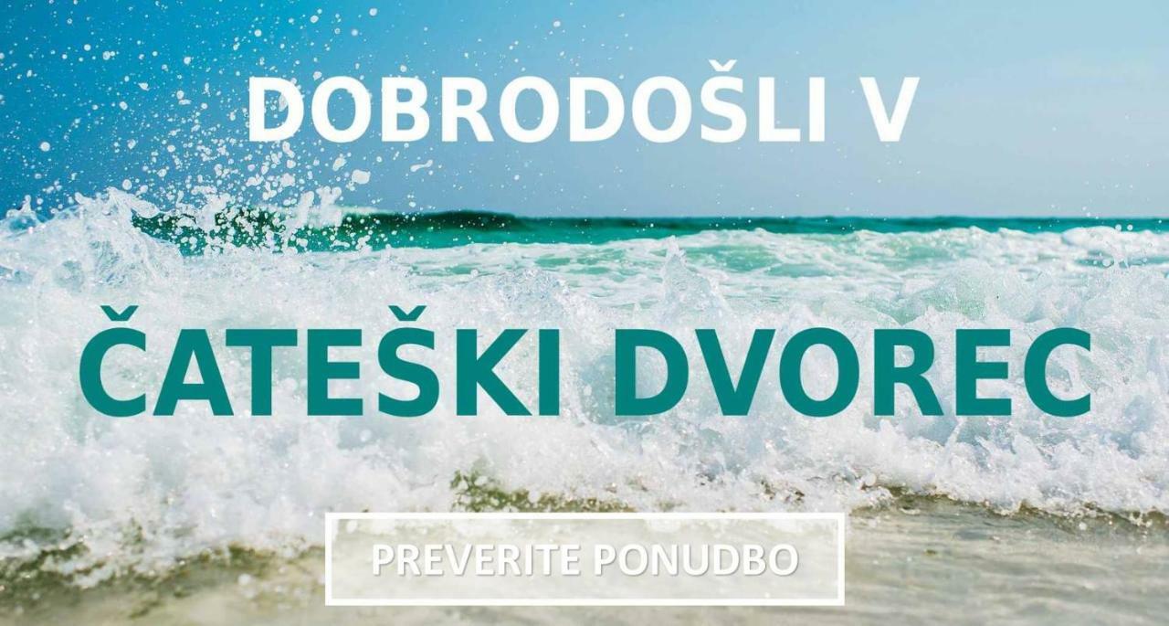 Hotel Cateski Dvorec Catez ob Savi Esterno foto